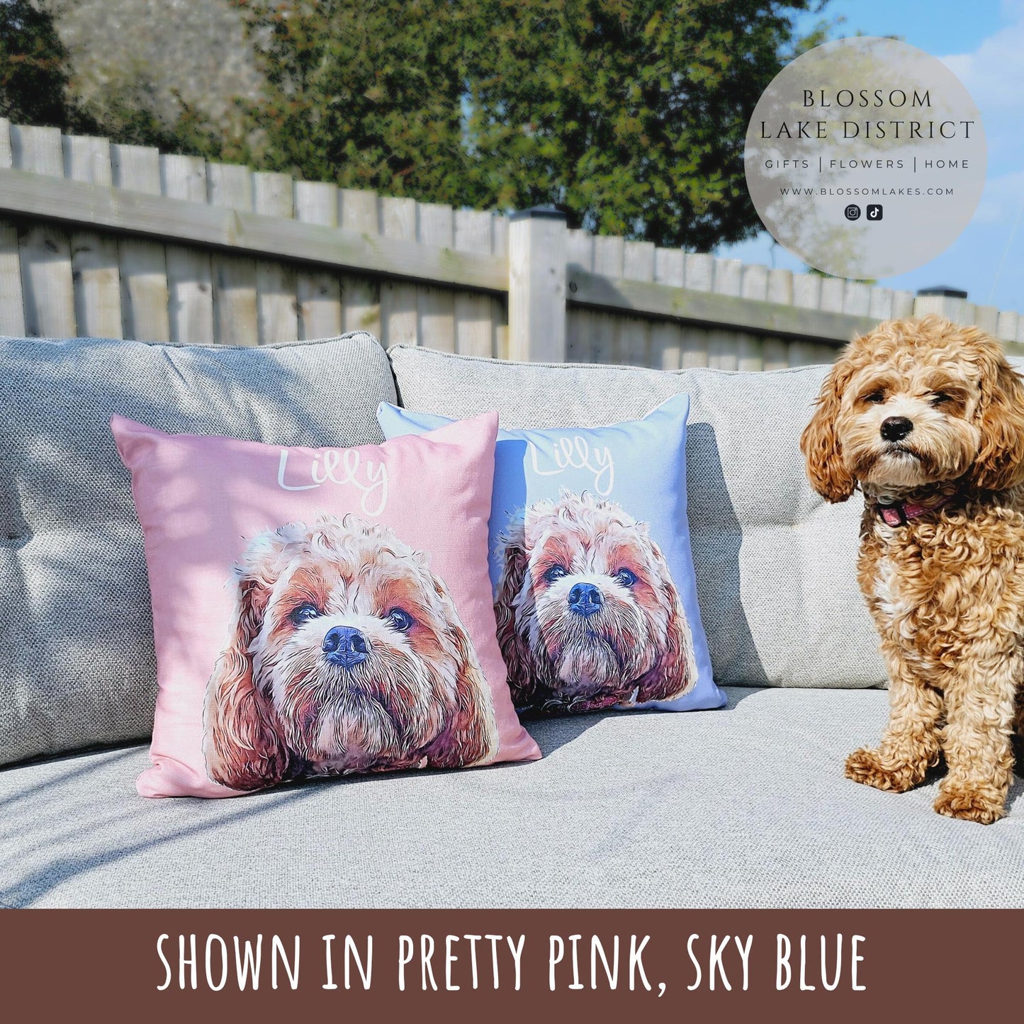 Personalised Pet Pillow Using Pet Photo