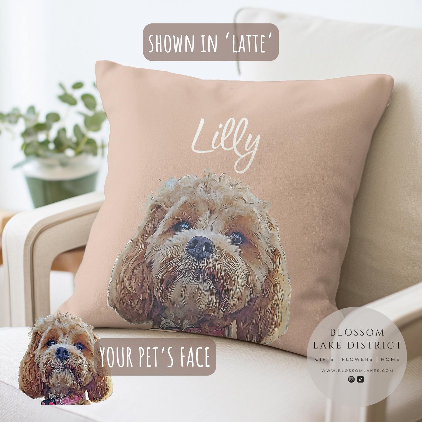 Personalised Pet Pillow Using Pet Photo